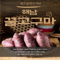 해남 꿀고구마 (베니하루카) 한입 5kg, 한입고구마 (비세척) 5kg