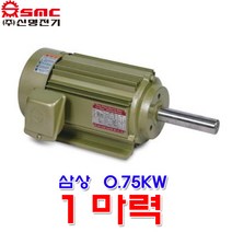 신명전기 목공용 모터 TEFC 삼상 2극 0.75KW 1마력 유도전동기 2P 전폐형