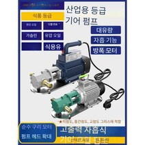 기어펌프 전기 모터 고압 급유 소형 기름 220V, (전진및후진)산업용등급(30리터)220V