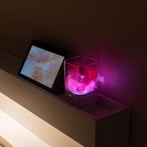 스마트전자 디퓨저 굿나잇 무드등, 블랙, 편백오일