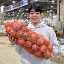 2022년 국내산 후니팜 최상품 햇양파 3kg 5kg 10kg, 특5kg