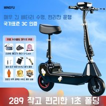 기함급전동킥보드 듀얼 로드 고성능 고스펙 전동스쿠터, 표준 브러시드 24v 블랙 40~50마일