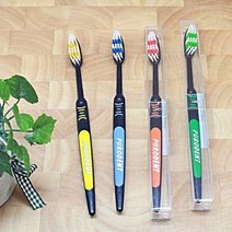 독일 블랙 퓨로덴트칫솔/가정용칫솔/여행용칫솔/소프트칫솔/부드러운칫솔(GD0638), 그린