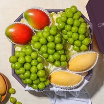 우리동네과수원 926일 오전 6시 결제건까지 명절전배송산지직송 명절 과일선물세트 종합과일세트9호 (보자기 증정) -인증
