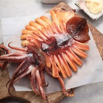 100% 국내산 동해 영덕 반건조 오징어 10마리 600g~1.7kg, 10마리(대 1.1kg)