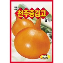 [가람종묘사] 양파 씨앗