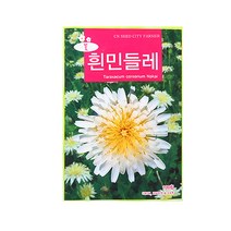 미미네가든 흰민들레 씨앗 (100립) - 꽃씨 키우기, 단품