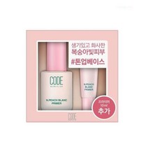 코드글로컬러 엔 피치블랑 프라이머 기획