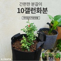 부직포 화분 식물 고구마 모종 키우기 10갤런 40x30 블루베리 고구마 감자 모종 키우기 베란다 텃밭 흙 담기 화분, 2화분10갤런-그레이
