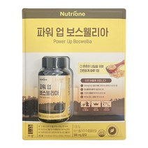 뉴트리원 파워업 보스웰리아 500mg X 120정, 1개