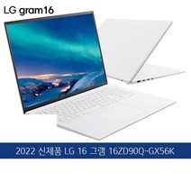 LG전자 2022 그램, 256GB, 16ZD90Q-GX56K, 스노우 화이트, 코어i5, 16GB, WIN11 Home