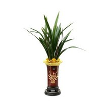 이레카야자 아레카야자 야레카야자 배송 배달 개업 화분 실내 공기 정화식물 미세먼지 동양란 서양란 승진축하 인사이동 뱅갈 고무나무 스투키 금전수 꽃집 전국 꽃배달 집들이 선물, 산천보세(동양란)