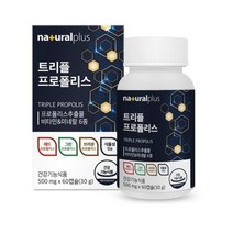 내츄럴플러스 - 트리플 프로폴리스 500mg x 60캡슐 프리미엄 레드 그린 브라운 트리플프로폴리스 플라보노이드 식물성츄어블캡슐, 1, 500mg*60캡슐