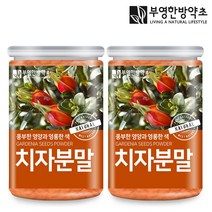 부영한방약초 국산 치자가루 분말 200g 천연색소, 2개