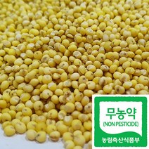 국산 친환경 쌀 무농약 기장 급식 잡곡 콩, 1봉, 500g
