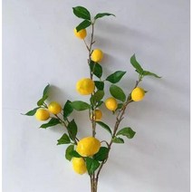 이케아조화 꽃 장식 다이소 미니조화화분 레몬트리