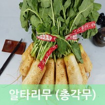 알타리무 총각무 초롱무 1다발 3kg내외 행복한식탁