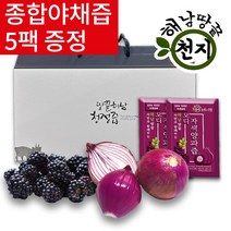 땅끝청정해남 오디자색양파즙 100ml, 30개입, 1개