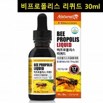 캐나다 비프로폴리스 리퀴드 플라보노이드 스포이드형