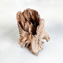 모비딕 내추럴 그루터기 유목 중 20, 1개