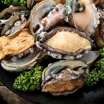 [완도산지직송] 완도 활전복 1kg (6-7미), 1개