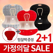 트러블체어 + 냉온찜질팩 자세교정 좌식의자 허리건강 등받이 의자 행사, 레드+블랙+그레이