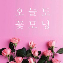 뮤즈 오늘도 꽃모닝 레터링 감성 글귀 스티커 시트지, 흰색