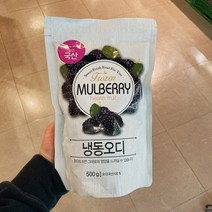 [석보] 냉동 오디 500g (대가상회), 아이스팩 포장, 1개