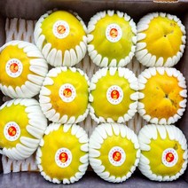 햇 태추 단감 2.5kg, 1박스, 태추단감 2.5kg (14~15수내외)