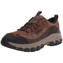 스케쳐스 USA Mens Edgemont Goodyear 고무 로우 프로파일 레이스 투 토 옥스포드 Cdb. 7