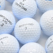 빅야드 화이트 A 등급 10알 중고골프공 라운딩용