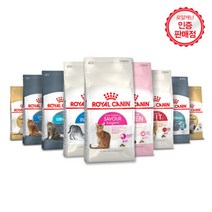 로얄캐닌 고양이 사료 400g 소포장 모음, 브리티쉬 숏헤어 400g