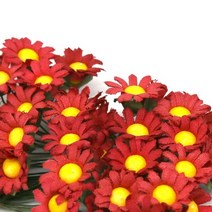 마가렛 다홍색 조화꽃 A-05-038