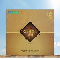 농협 홍삼을 담은 산삼배양근 진액골드 75ml 10병, 1박스