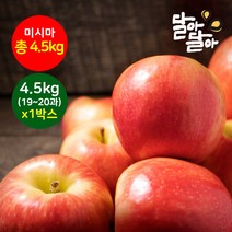 달아달아 정품사과 미시마 4.5kg(19-20과) 1박스, 단품