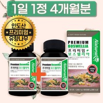 식약처 식약청 해썹 인증 정품 보스웰리아 함량 후기 성분 원산지 보스웰릭산 보스웰리스 파는곳 캡슐 가루 분말 원물 정 100% 인도 유향 나무 프리미엄 1+1 농축 추출물 대용량