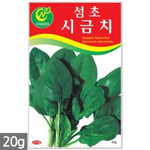 왜성적피 강낭콩 씨앗 30g - 콩씨 콩씨앗 씨 강낭콩씨 빨간강낭콩 붉은강낭콩씨앗 씨 강낭콩씨앗 주말농장 텃밭, 08_섬초시금치(20g)