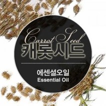 몰드몰 ( 에센셜오일 ) 캐롯시드 Carrot Seed E.O, [ 30ml ]