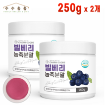 빌베리 농축 분말 가루 오스트리아산 추출물 파우더 해썹 인증 계량스푼 포함, 2통, 250g