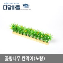다담아몰 쇼케이스용 꽃향나무 컨먹아 노랑 1개 정육용품