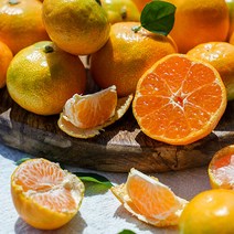 제주도에서 키운 [위미농협] 하우스감귤 5kg (로얄과), 1개