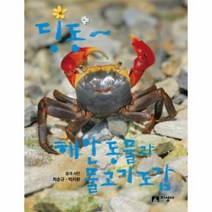 딩동 해안 동물과 물고기도감, 상품명