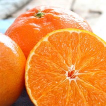 산지직송 제주 레드향 가정용 3kg 5kg 10kg, 중과 10kg