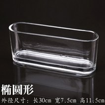 꽃화병 유리 어항 수경 식물 직사각형 책상 조경 수족관 인테리어 소품, 8X30 타원형 실린더
