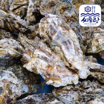 고흥 자연산 종패 석화각굴 특산품 10kg, 없음, 1개