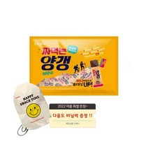 크라운 짜먹는 양갱 미니 340g x 5개(비닐쌕증정), 단품