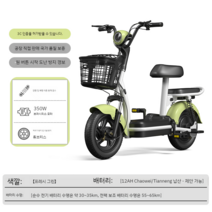 미니 전기자전거 어르신 마실용 전기 팻 바이크 휴대용 경량 두꺼운 휠 뒷좌석 충전식, 12아, D