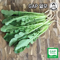 [농사임당] GAP 열무 500g/1kg, 500g