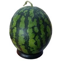 자체브랜드 하우스 노지수박 고당도 수박, 6kg이상, 6kg이상