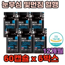 야간 운전 눈부심 빛번짐 혈행 눈 건강 루테인 한알 루테인 빛번짐 뻑뻑 망막 모세혈관 컴퓨터 직장인 회사원 모니터 스마트폰 추천 효능 효과 가격 기능 성분 에 좋은
